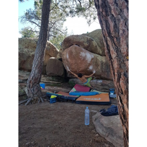 Speedster La Sportiva UK Lime Yellow